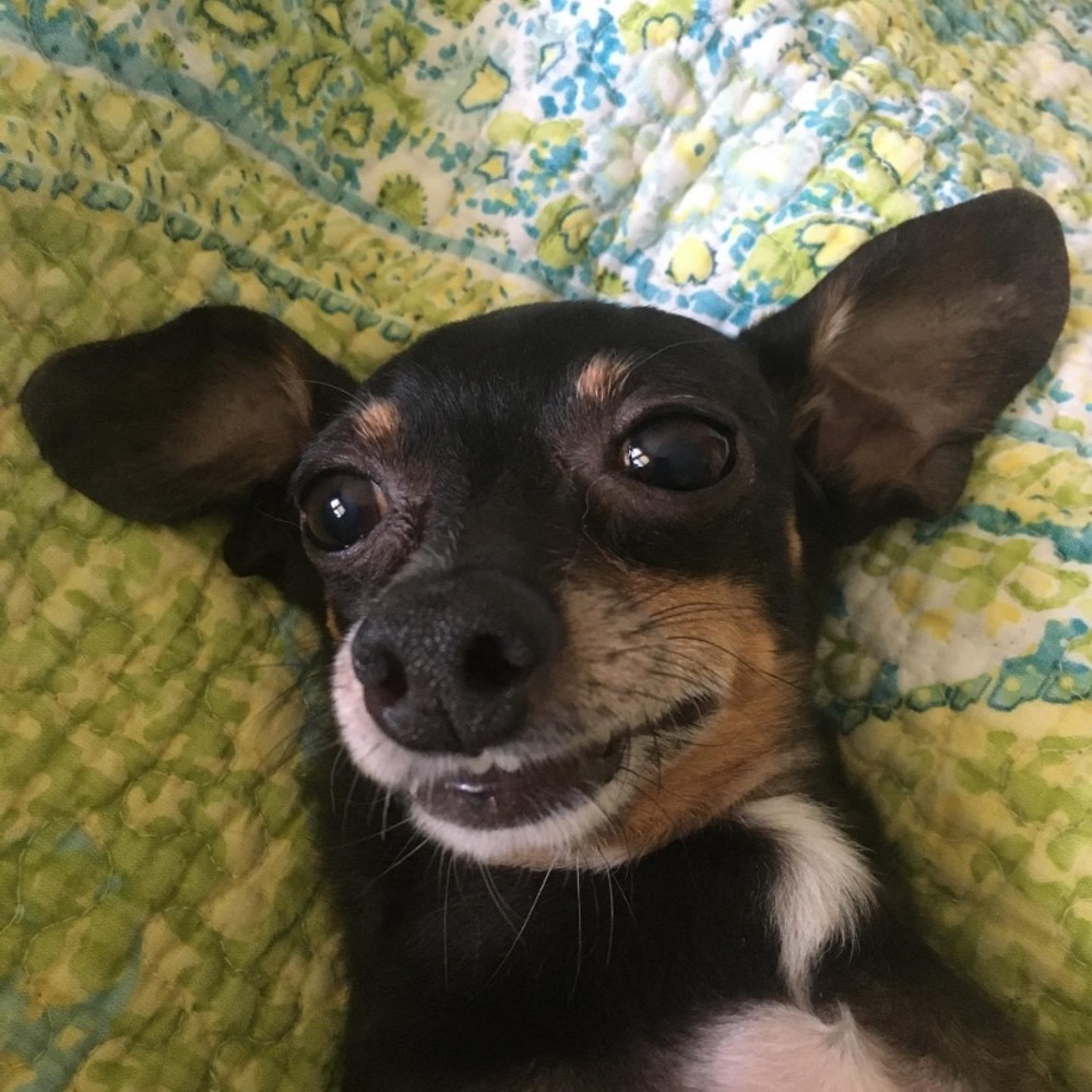 Meet your Posher, Alisha